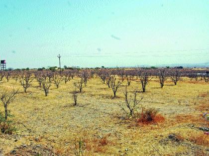 The eastern part of Junnor thirsty due to water | जुन्नरचा पूर्व भाग पाण्याअभावी तहानलेला