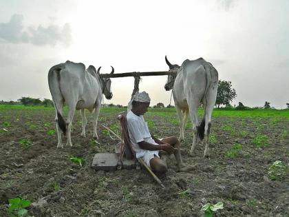 Only four percent of the state sows | राज्यात केवळ चार टक्के पेरण्या; २-३ दिवसांत दमदार पाऊस न झाल्यास दुबार पेरण्यांची भीती