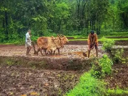 Let's wait until September and then see the drought; The government hopes that rain will fill the deficit | सप्टेंबरपर्यंत वाट पाहू नंतर दुष्काळाचे बघू; वरुणराजा तूट भरेल अशी सरकारला आशा