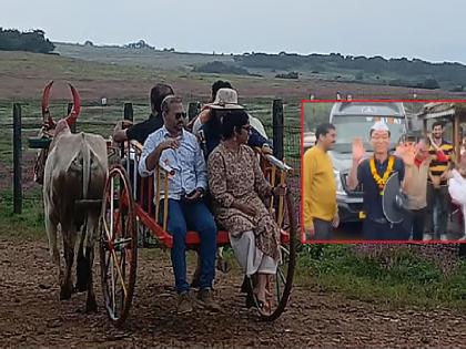 Flowers and bullock carts on the Kas plateau attract foreign visitors | Satara: कास पठारावरील फुलं अन् बैलगाडी सफारीची परदेशी पाहुण्यांना भुरळ