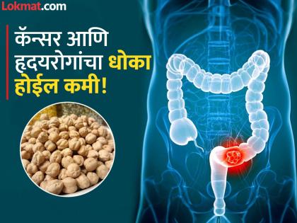 Dietitian tells chickpea is more powerful than black gram know the benefits | काळ्या चण्यांपेक्षा काबुली चणे अधिक फायदेशीर, डायटिशिअनने सांगितले फायदे आणि किती करावं सेवन!