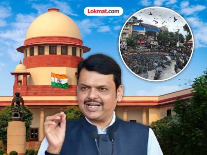 The 'Supreme' decision regarding pigeon houses has been taken, what will the government do now? CM Fadnavis revealed the next plan | कबुतरखान्यांबद्दल 'सर्वोच्च' निर्णय आला, आता सरकार काय करणार? CM फडणवीसांनी सांगितला पुढचा प्लॅन