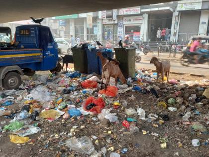 Even after the MLA's ultimatum, heaps of garbage piled up in the city | आमदारांच्या अल्टीमेंटम नंतरही शहरात ठिकठिकाणी साचले कचऱ्याचे ढिग