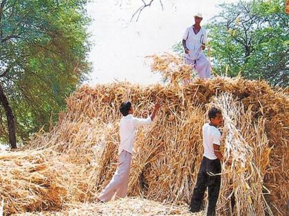 Baap re ... Due to untimely rains, the price of kadaba has increased by two and a half thousand | बाप रे...अवकाळी पावसामुळे कडब्याच्या भावात अडीच हजाराने वाढ