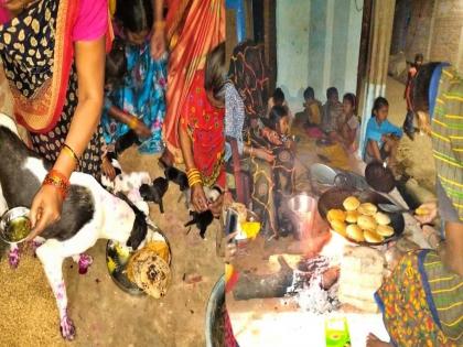 In Uttar Pradesh, a dog gave birth to 9 puppies, the owner threw a party for 400 people | होऊ दे खर्च! डॉगीनं दिला ९ पिल्लांना जन्म; आनंदात मालकिणीची ४०० लोकांना पार्टी