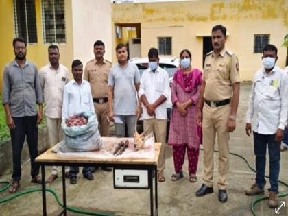 Blackbuck hunters caught in police net; Four arrested red-handed while distributing meat | काळविटाचे शिकारी अडकले पोलिसांच्या जाळ्यात; मांसाची वाटणी करताना चौघे रंगेहाथ जेरबंद