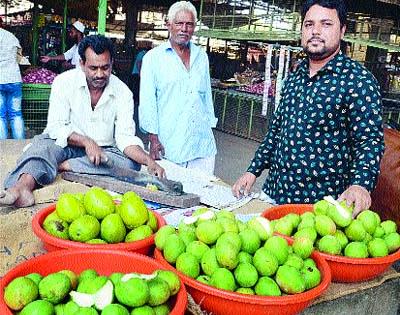 Two truck carri pickles in Solapur are hauling every day | सोलापुरातील गृहिणी रोज घालतात दोन ट्रक कैरीचं लोणचं