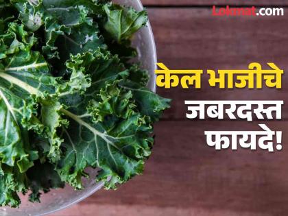 Amazing health benefits of eating this Kale green vegetable | सलाद म्हणून करू शकता केल भाजीचं सेवन, फायदे वाचून व्हाल अवाक्!