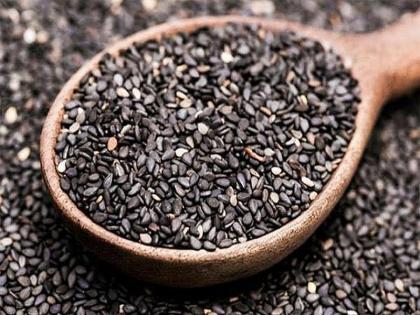 The cultivation of black sesame in Palghar district | पालघर जिल्ह्यात काळ्या तिळाची लागवड