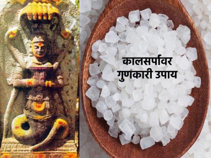 Astro Tips: Want to get rid of Kalasarpa Dosh? Use Astrologically Suggested camphor Remedies! | Astro Tips: कालसर्प दोषातून सुटका हवी? वापरा ज्योतिष शास्त्राने सुचवलेले कापराचे उपाय!