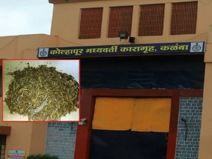 Ganja was sent by speed post to Kalamba Jail in Kolhapur | अजबच! कोल्हापुरातील कळंबा कारागृहात चक्क स्पीड पोस्टाने पाठवला गांजा