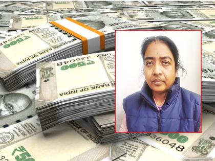 तोतया महिला आयएएस अधिकारी: फसवणूक झालेल्यांना साक्षीदार करण्याची शक्यता