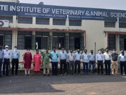 The work of the officers of the veterinary institute wearing black ribbons | पशुवैद्यकीय संस्थेतील अधिकाऱ्यांचे काळ्या फिती लावून काम