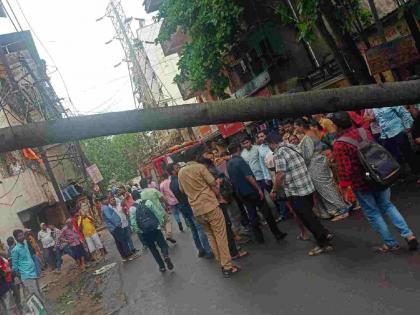 medical shop and houses damaged as old coconut tree fallen in Kalyan East | जीर्ण नारळाचे झाड पडून कल्याण पूर्वेतील म्हसोबा चौकात मेडिकल दुकान, घरांचे नुकसान