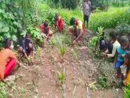 garbage pickers children set ideal example of tree plantation and protect environment | क्या बात! कचरावेचक मुलांनी घेतला पर्यावरण रक्षणासाठी पुढाकार