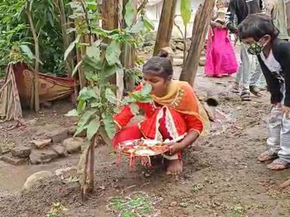 rakshabandhan celebrated in tribal pada by tying rakhi to trees and message of environmental protection | कल्याण: आदिवासी पाड्यात झाडांना राखी बांधून साजरे झाले रक्षाबंधन; पर्यावरण रक्षणाचा दिला संदेश