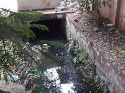 Residents of MIDC plagued by swarms of mosquitoes | डासांच्या झुंडीने एमआयडीसीचे रहिवासी त्रस्त, नागरिकांच्या आरोग्याचा प्रश्न ऐरणीवर