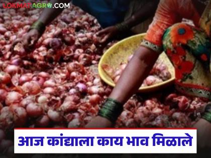 Latest News Kanda Market average price of onion from Solapur to Pune market Read in detail | Kanda Bajarbhav : सोलापूरपासून ते पुणे मार्केटपर्यंत कांद्याला सरासरी दर कसा मिळतोय? वाचा सविस्तर Latest News Kanda Market average price of onion from Solapur to Pune market Read in detail | Kanda Bajarbhav : सोलापूरपासून ते पुणे मार्केटपर्यंत कांद्याला सरासरी दर कसा मिळतोय? वाचा सविस्तर
