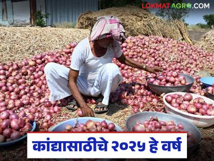 Latest news How were the onion prices from January to December, how was 2025 for onions, read in detail | जानेवारीपासून ते डिसेंबरपर्यंत दर कसे होते, 2025 हे वर्ष कांद्यासाठी कसे राहिले, वाचा सविस्तर Latest news How were the onion prices from January to December, how was 2025 for onions, read in detail | जानेवारीपासून ते डिसेंबरपर्यंत दर कसे होते, 2025 हे वर्ष कांद्यासाठी कसे राहिले, वाचा सविस्तर