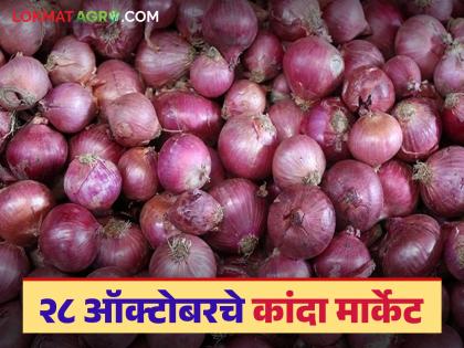 Latest News Kanda Market Minimum prices same, general prices improved, see onion market on October 28 | किमान दर जैसे थे, सर्वसाधारण दरात किंचित सुधारणा, 28 ऑक्टोबरचे कांदा मार्केट Latest News Kanda Market Minimum prices same, general prices improved, see onion market on October 28 | किमान दर जैसे थे, सर्वसाधारण दरात किंचित सुधारणा, 28 ऑक्टोबरचे कांदा मार्केट