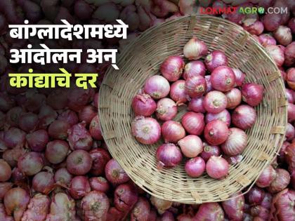 Latest News Protests in Bangladesh, how will onion market prices be in last week of December | बांग्लादेशमध्ये आंदोलन, डिसेंबरच्या शेवटच्या आठवड्यात कांदा बाजारभाव कसे राहतील? Latest News Protests in Bangladesh, how will onion market prices be in last week of December | बांग्लादेशमध्ये आंदोलन, डिसेंबरच्या शेवटच्या आठवड्यात कांदा बाजारभाव कसे राहतील?