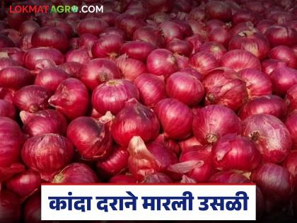 Onion prices have hike in the ahilyanagar nepti sub-market; Read how red onions are getting the best price? | नगरच्या नेप्ती उपबाजारात कांदा दराने मारली उसळी; वाचा लाल कांद्याला कसा मिळतोय दर? Onion prices have hike in the ahilyanagar nepti sub-market; Read how red onions are getting the best price? | नगरच्या नेप्ती उपबाजारात कांदा दराने मारली उसळी; वाचा लाल कांद्याला कसा मिळतोय दर?