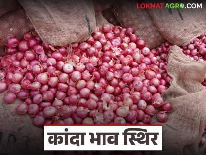 Onion arrivals slowed down due to bad weather; Read: What is the price of common onions in Solapur market? | अवकाळीमुळे कांदा आवक मंदावली; वाचा सोलापूर बाजारात सर्वसाधारण कांद्याला काय दर? Onion arrivals slowed down due to bad weather; Read: What is the price of common onions in Solapur market? | अवकाळीमुळे कांदा आवक मंदावली; वाचा सोलापूर बाजारात सर्वसाधारण कांद्याला काय दर?