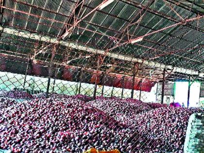 Due to the lack of water in the valley of Naigaon, the red onion crop was started | नायगाव खोऱ्यात पाण्याअभावी लाल कांद्याचे पिके करपू लागली