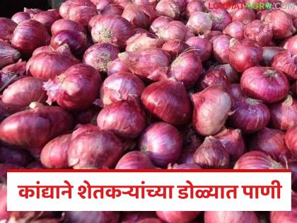 Latest News Summer Onion Harvest Season Underway; Prices Remain Low | कांद्याने डोळ्यात पाणी; कवडीमोल भावामुळे साठवणुकीवर भर, आज काय दर मिळाले? Latest News Summer Onion Harvest Season Underway; Prices Remain Low | कांद्याने डोळ्यात पाणी; कवडीमोल भावामुळे साठवणुकीवर भर, आज काय दर मिळाले?