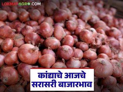 Latest News kanda bajarbhav White onion prices improve in Nagpur market,see price of red onion | नागपूर मार्केटमध्ये पांढरा कांदा दरात सुधारणा, लाल कांद्याचे दर काय? वाचा आजचे बाजारभाव Latest News kanda bajarbhav White onion prices improve in Nagpur market,see price of red onion | नागपूर मार्केटमध्ये पांढरा कांदा दरात सुधारणा, लाल कांद्याचे दर काय? वाचा आजचे बाजारभाव