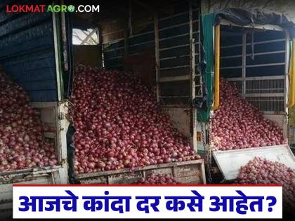 Kanda Market : बांग्लादेशच्या निर्णयानंतर 8 डिसेंबरला कांद्याला काय दर मिळाले, वाचा सविस्तर 