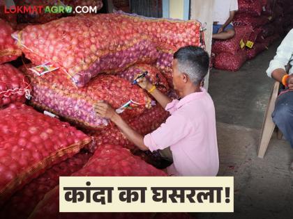 Latest News Onion prices have fallen to 50 paise per kg, see reasons for the price drop Read in detail | कांद्याचे दर कोसळून 50 पैसे प्रति किलोवर, दर घसरण्याची कारणे काय आहेत? वाचा सविस्तर Latest News Onion prices have fallen to 50 paise per kg, see reasons for the price drop Read in detail | कांद्याचे दर कोसळून 50 पैसे प्रति किलोवर, दर घसरण्याची कारणे काय आहेत? वाचा सविस्तर