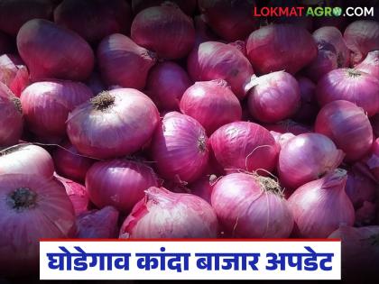 Kanda Market : Arrival of 44 thousand onion bags in Ghodegaon Market Committee; Read how is the average price being obtained? | Kanda Market : घोडेगाव बाजार समितीत ४४ हजार कांदा गोण्यांची आवक; वाचा सरासरी कसा मिळतोय दर? Kanda Market : Arrival of 44 thousand onion bags in Ghodegaon Market Committee; Read how is the average price being obtained? | Kanda Market : घोडेगाव बाजार समितीत ४४ हजार कांदा गोण्यांची आवक; वाचा सरासरी कसा मिळतोय दर?
