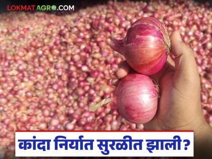 Latest News Kanda Market status of Indian onions in global market see details | भारतीय कांद्याची जागतिक बाजारातील स्थिती कशी आहे, दर कसे राहतील? वाचा सविस्तर Latest News Kanda Market status of Indian onions in global market see details | भारतीय कांद्याची जागतिक बाजारातील स्थिती कशी आहे, दर कसे राहतील? वाचा सविस्तर
