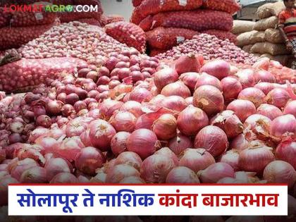 Kanda Bajar Bhav : सोलापूर जिल्ह्यापासून ते नाशिक जिल्ह्यापर्यंत कांद्याला काय दर मिळतोय? 