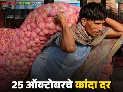 Latest News Kanda Market Market prices in Lasalgaon, Solapur onion market on October 25 | लासलगाव, सोलापूर कांदा मार्केटमध्ये किमान, कमाल दरात फरक, वाचा 25 ऑक्टोबरचे बाजारभाव Latest News Kanda Market Market prices in Lasalgaon, Solapur onion market on October 25 | लासलगाव, सोलापूर कांदा मार्केटमध्ये किमान, कमाल दरात फरक, वाचा 25 ऑक्टोबरचे बाजारभाव