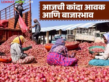 Latest News Kanda Market 2 lakh quintals of onion arrived in maharashtra market see price of red onion | Kanda Market : राज्यात पावणे तीन लाख क्विंटल कांदा आवक, लाल कांद्याला काय दर मिळाले? Latest News Kanda Market 2 lakh quintals of onion arrived in maharashtra market see price of red onion | Kanda Market : राज्यात पावणे तीन लाख क्विंटल कांदा आवक, लाल कांद्याला काय दर मिळाले?