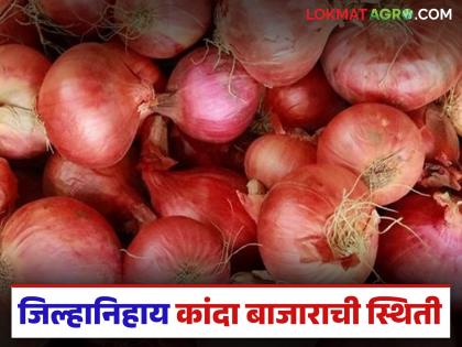Latest news How much is difference in price of red onion in Solapur and Lasalgaon markets, read in detail | Kanda Bajarbhav : सोलापूर, लासलगाव मार्केटमध्ये लाल कांदा दरात किती रुपयांचा फरक, वाचा सविस्तर Latest news How much is difference in price of red onion in Solapur and Lasalgaon markets, read in detail | Kanda Bajarbhav : सोलापूर, लासलगाव मार्केटमध्ये लाल कांदा दरात किती रुपयांचा फरक, वाचा सविस्तर