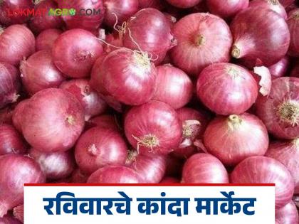 Latest News Kanda Bajarbhav unhal kanda prices in Ramtek market see details | Kanda Market : रामटेक बाजारात उन्हाळ कांद्याला काय भाव मिळाला, वाचा आजचे बाजारभाव Latest News Kanda Bajarbhav unhal kanda prices in Ramtek market see details | Kanda Market : रामटेक बाजारात उन्हाळ कांद्याला काय भाव मिळाला, वाचा आजचे बाजारभाव