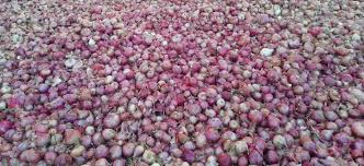 Tahsildar orders not to class farmers in onion subsidy loan account | शेतकऱ्यांचे कांदा अनुदान कर्ज खात्यात वर्ग न करण्याचे तहसीलदारांचे आदेश