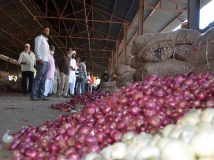 The government rejected agricultural products damaged due to natural calamities | नैसर्गिक आपत्तीमुळे खराब झालेला शेतीमाल शासनाने नाकारला The government rejected agricultural products damaged due to natural calamities | नैसर्गिक आपत्तीमुळे खराब झालेला शेतीमाल शासनाने नाकारला