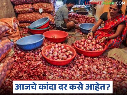 Kanda Market : राज्यातील 'या' बाजारात लाल आणि पांढऱ्या कांद्याला समाधानकारक भाव, वाचा आजचे बाजारभाव