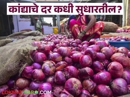 Why did onion prices fall in the local market and when will these prices improve? | Kanda Market : लोकल मार्केटमध्ये कांद्याचे दर कशामुळे घसरले अन् हे दर कधीपर्यंत सुधारतील! Why did onion prices fall in the local market and when will these prices improve? | Kanda Market : लोकल मार्केटमध्ये कांद्याचे दर कशामुळे घसरले अन् हे दर कधीपर्यंत सुधारतील!