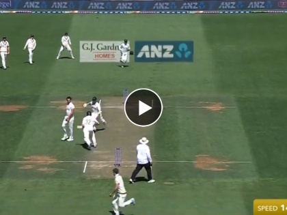 Australia vs New Zealand 1st Test New Zealand captain Kane Williamson was run out after a collision with Will Young  | AUS vs NZ: विल्यमसनकडून पहिल्यांदाच झाली मोठी चूक; ऑस्ट्रेलियाने आयती संधी साधली