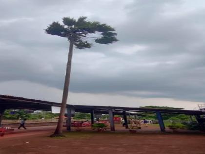 A coconut tree near Kankavali railway station was struck by lightning | कणकवली रेल्वेस्थानक परिसरातील नारळाच्या झाडावर वीज कोसळली