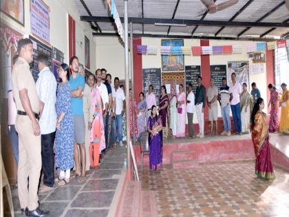 Local Body Election Voting: सिंधुदुर्ग जिल्ह्यात कणकवलीत सर्वाधिक मतदान, मालवणमध्ये किती.. जाणून घ्या