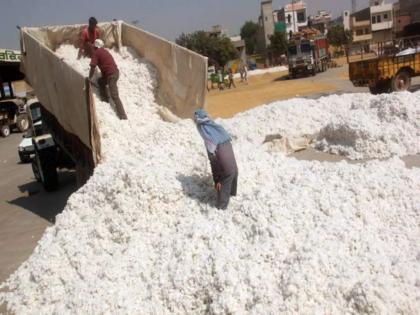 14 lakhs fraud of 14 farmers in purchase of cotton | कापूस खरेदीत १४ शेतकऱ्यांची १४ लाखांनी फसवणूक