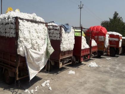 Buy 900 quintals of cotton in 10 days at the center | पळाशी केंद्रात 10 दिवसात 900 क्विंटल कापूस खरेदी