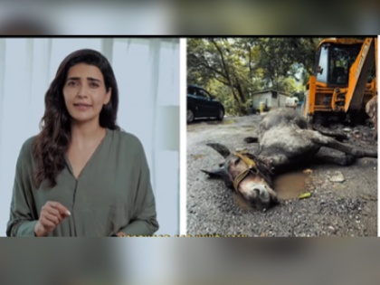 actress karishma tanna shared a video about the serious problem of animals in kedarnath | 'तीर्थ यात्रेला जाऊन तुम्ही पाप करुन येताय'; केदारनाथमधील 'तो' प्रकार पाहून संतापली अभिनेत्री