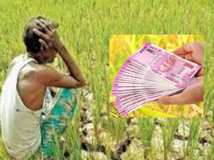 Over 60,000 farmers in Sangli district will be deprived of Rs 50,000 grant | ५० हजारांच्या अनुदानापासून सांगली जिल्ह्यातील ६० हजारांवर शेतकरी राहणार वंचित